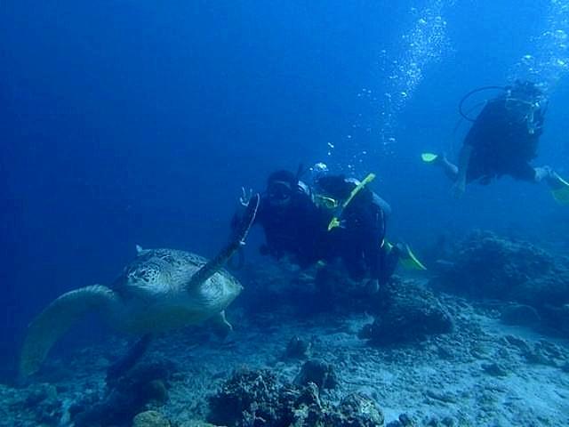 最简单的几种豆浆做法论坛-最新、最全、最热的讨论平台